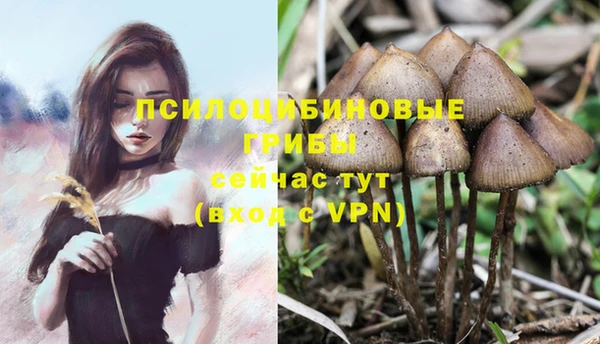 дмт Лабытнанги