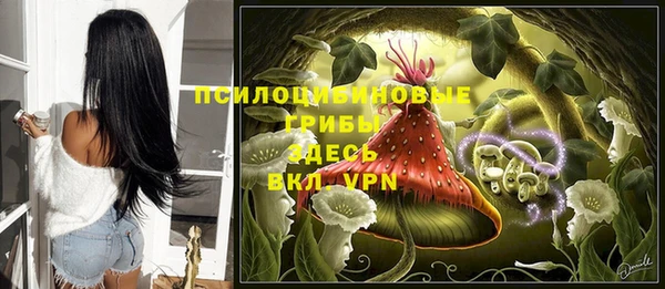 spice Лагань