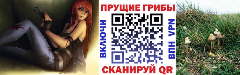 Галлюциногенные грибы прущие грибы Лосино-Петровский