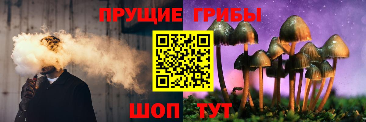 Галлюциногенные грибы Magic Shrooms  Вход с VPN  Лосино-Петровский 